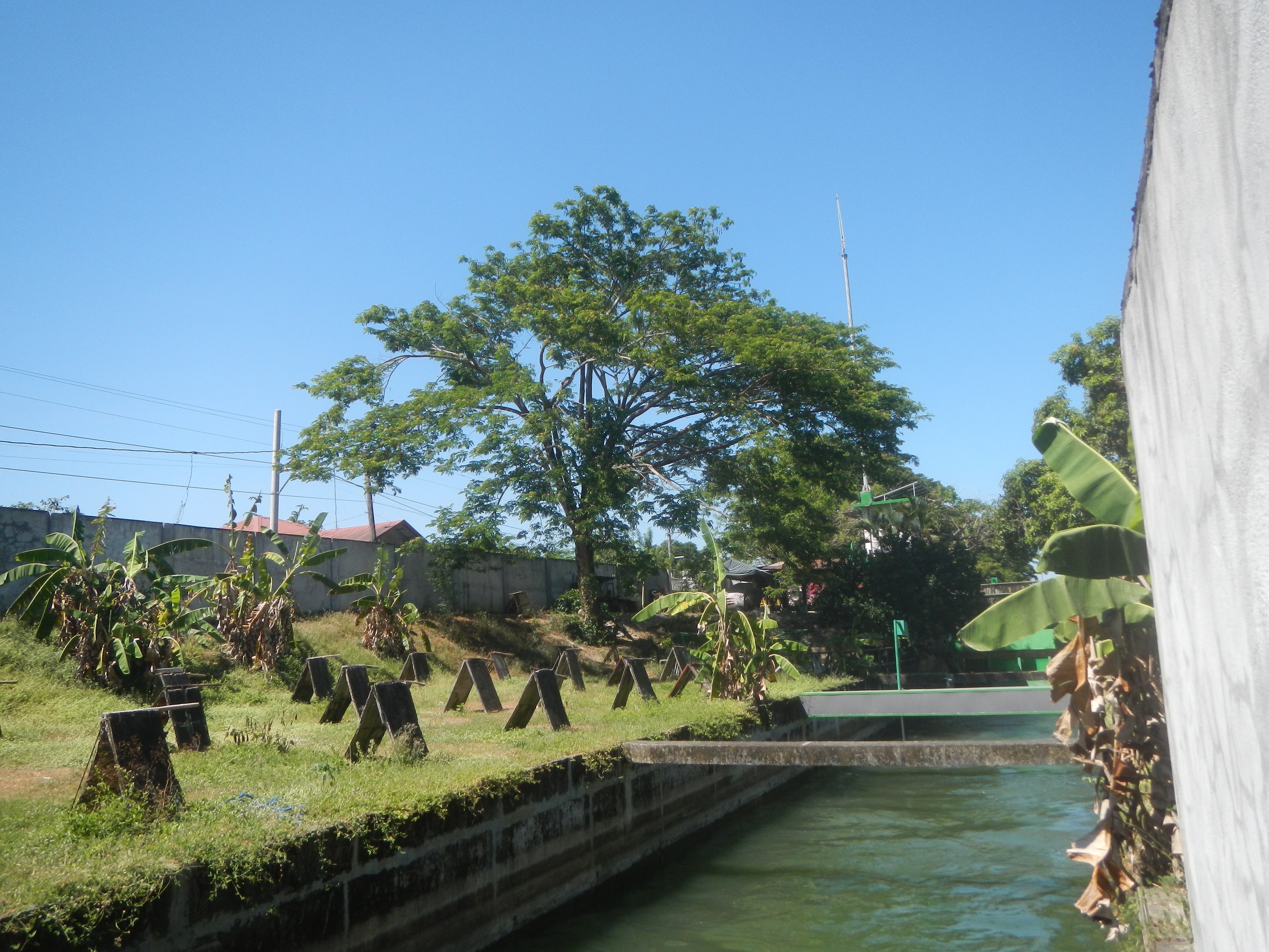 Kleiner Kanal, der durch ein grünes Feld neben einem Gebäude verläuft, mit einer Wand auf der rechten Seite, Bäumen, Pflanzen, Gras, Strommasten, Drähten, fernen Häusern und einem klaren blauen Himmel.