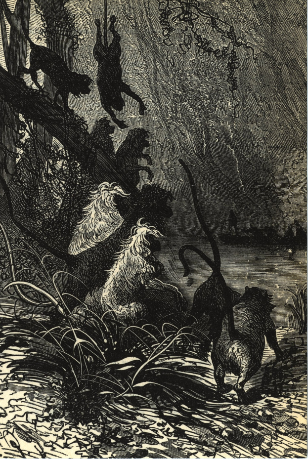 Schwarze und weiße Illustration einer Gruppe von Löwen in einer Dschungelumgebung mit üppiger Vegetation und Bäumen, mit dem Text 'Der König der Löwen' unten.