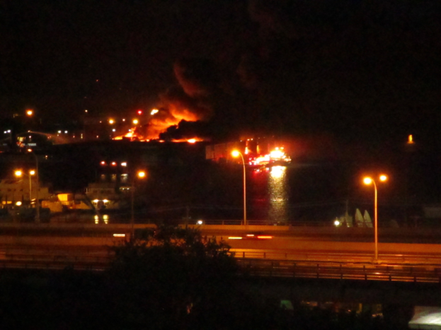 Großbrand in einer Stadt bei Nacht, mit Straßenlaternen, einem Baum im Vordergrund, dunklem Himmel und naher Wasserfläche.