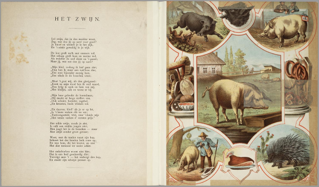 Ein aufgeschlagenes Buch mit Illustrationen von Schweinen, Hühner und anderen Bauernhoftieren, begleitet von Text auf der linken Seite.