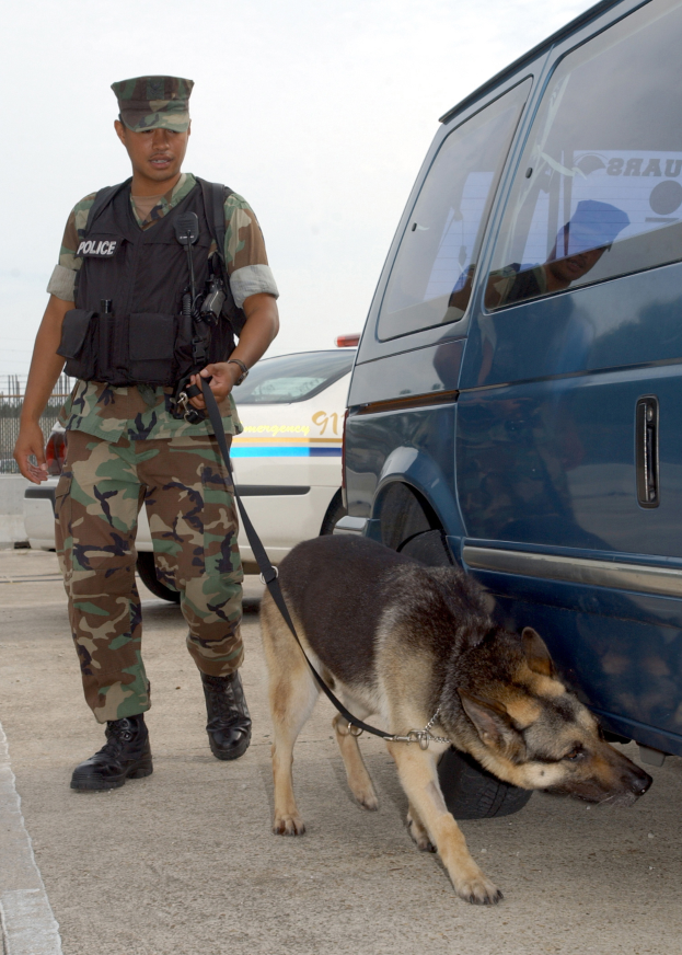 Ein Polizist in Uniform steht auf einer Straße und hält einen angeleinten Hund, mit einem Van, anderen Fahrzeugen, einem Zaun und dem Himmel im Hintergrund.