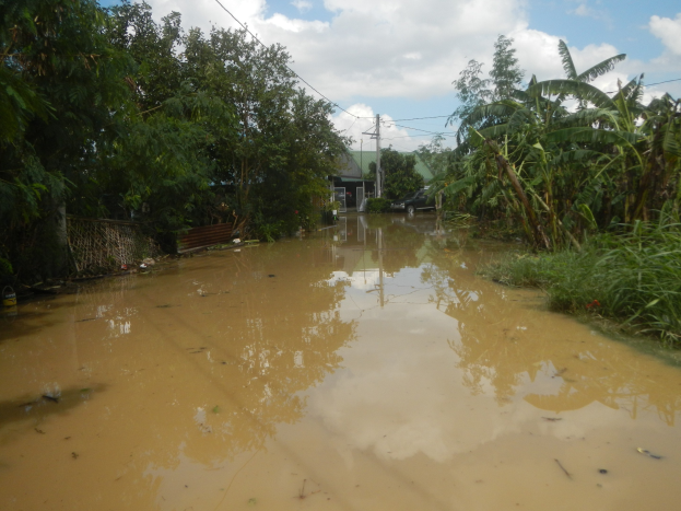 Eine überflutete Landstraße mit Wasser, das die Straße bedeckt, Pflanzen und Bäumen auf beiden Seiten, einem geparkten Auto auf der rechten Seite und Häusern, Strommasten und Drähte im Hintergrund unter einem bewölkten Himmel.