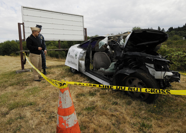 Ein Polizeibeamter in Uniform steht auf dem Gras neben einem schwer beschädigten Auto mit eingedrückter Motorhaube und zersplitterten Fenstern, mit einem Verkehrskegel und einem bandagierten Pfahl in der Nähe, und Bäumen und einem bewölktem Himmel im Hintergrund.