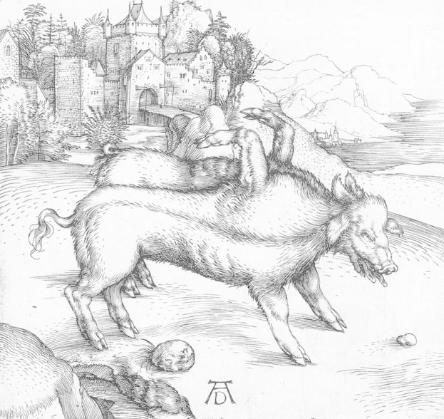 Ein Schwarz-Weiß-Zeichnung von zwei Schweinen auf einer Wiese mit einem Schloss, Bäumen, Hügeln und einem Gewässer im Hintergrund, betitelt "Albrecht Dürer - Die drei Eber".