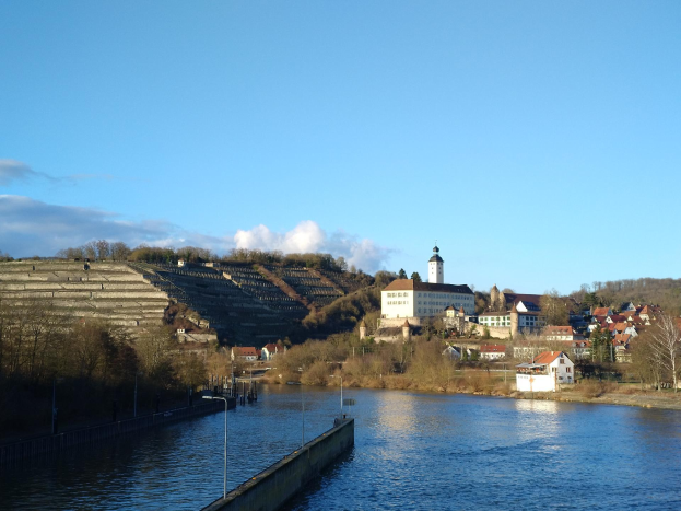 Eine malerische Aussicht auf den Rhein in Deutschland, mit einer Brücke, Laternenpfählen, Bäumen, Gebäuden entlang des Ufers und einem Hügel im Hintergrund bei einem bewölkten Himmel.