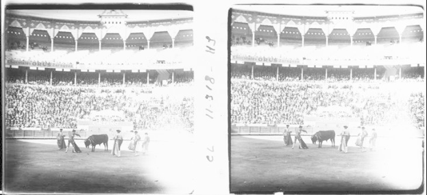 Schwarzes und weißes Foto eines Stierkampfs in einem Stadion mit Zuschauern auf den Tribünen und Menschen in der Nähe der Stiere im Vordergrund.