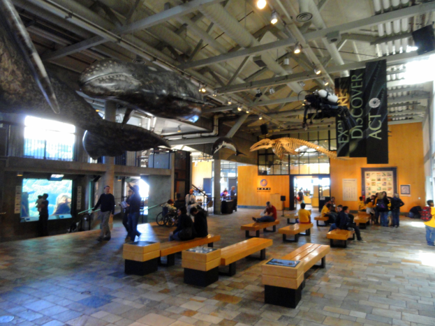 Ein großer Raum mit Menschen auf Bänken und Stehplätzen, mit Transparenten, Lichtern und einem Display, der an einen Museumsraum erinnert.