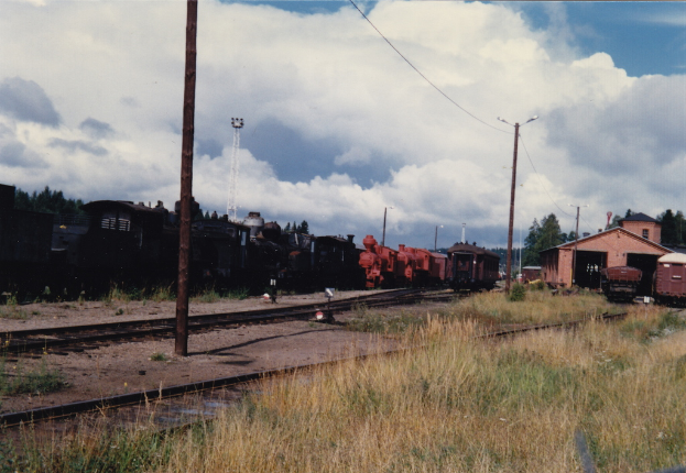 Eisenbahnschienen mit Gras daneben, Laternenpfähle, Züge im Hintergrund, ein Schuppen und Bäume mit einem bewölkten Himmel.