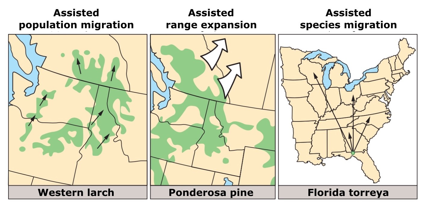 Ein Plakat mit einer USA-Karte, auf der verschiedene Regionen mit Arten der Bevölkerungswanderung hervorgehoben sind, sowie begleitendem Text.