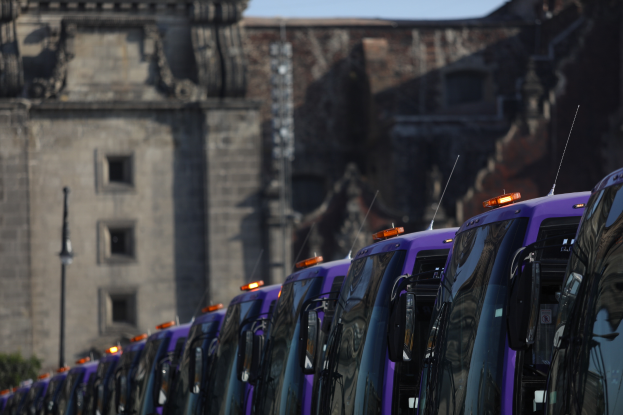 Eine Reihe lila Busse vor einem alten Gebaeude geparkt, mit Baeumen und einem Pfahl im Vordergrund und einem klaren blauen Himmel im Hintergrund.