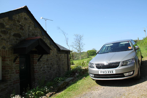 Rechts ist ein Auto, Pflanzen, ein Strommast, Gras und Erde zu sehen. Links gibt es Pflanzen, Blumen, Bäume, Zäune, ein Haus und einen Mast unter einem sonnigen Himmel.