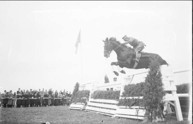 Schwarzes und weißes Foto eines Pferdes und Reiters, die über ein Hindernis springen, bei den Royal Ascot Horse Trials 1953, mit Zuschauern links, einer Flagge im Hintergrund und Gras unten.