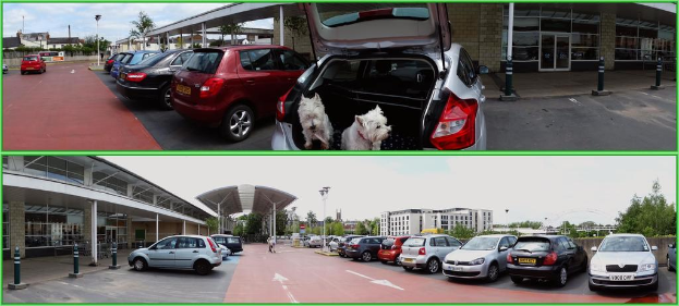 Ein Collage mit zwei Bildern: das obere Bild zeigt geparkte Autos mit zwei Hunden im Kofferraum eines Autos, ein Gebäude mit Fenstern und Säulen und einen Hintergrund aus Bäumen, Himmel, Pfählen und Gebäuden; das untere Bild zeigt geparkte Fahrzeuge, ein Gebäude mit Fenstern und Säulen, Pfähle, ein Schuppen mit Säulen und einen Hintergrund aus Gebäuden, Bäumen, Straßenlaternenpfählen und Himmel.