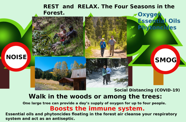 Plakat mit Bildern von Menschen, die im Wald spazieren gehen, mit einem Haus, das Entspannung in der Natur mit dem Text "Ruhen und Entspannen die vier Jahreszeiten im Wald" bewirbt.