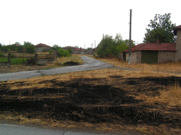 Eine nächtliche Straßenszene in einer Stadt mit Gebäuden, Fahrzeugen, Pfählen, Lampen, Eisengittern, Bäumen und einer Skulptur unter einem dunklen Himmel.