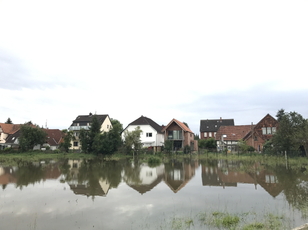 Eine überflutete Straße mit Häusern im Hintergrund, umgeben von Wasser, Gras, Pflanzen, Bäumen und Pfählen, unter einem sichtbaren Himmel.