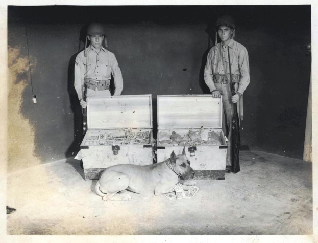 Ein Hund steht im Zentrum des Bildes, mit Kisten dahinter. Zwei Personen mit Waffen stehen hinter den Kisten, mit einer Wand im Hintergrund.