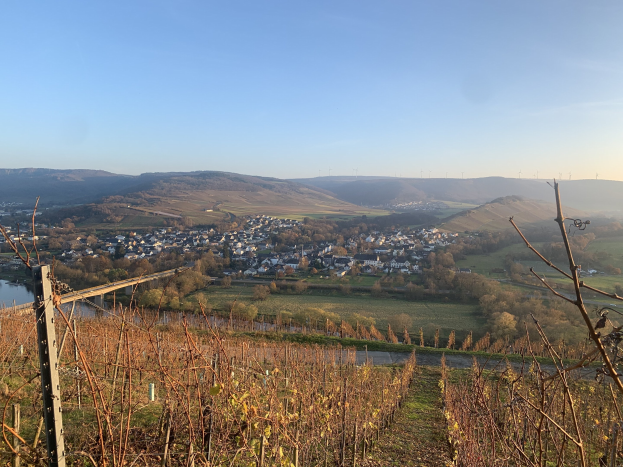 Eine malerische Aussicht auf das Rheintal von einem Hügel aus, mit grünen Pflanzen, Bäumen, Häusern im Vordergrund, einer Brücke über den Fluss und sanften Hügeln unter einem blauen Himmel.