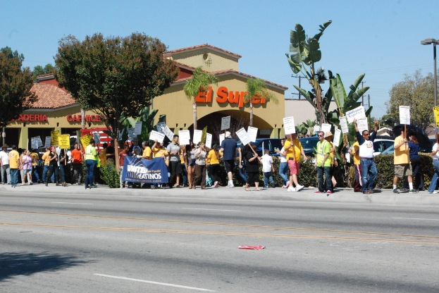 Eine Gruppe von Menschen mit Schildern, die durch einen Wald spazieren, mit Bäumen, Büschen, einer Fahne, einem Gebäude mit Namensschildern, Autos und aktuellen Umfragen im Hintergrund.