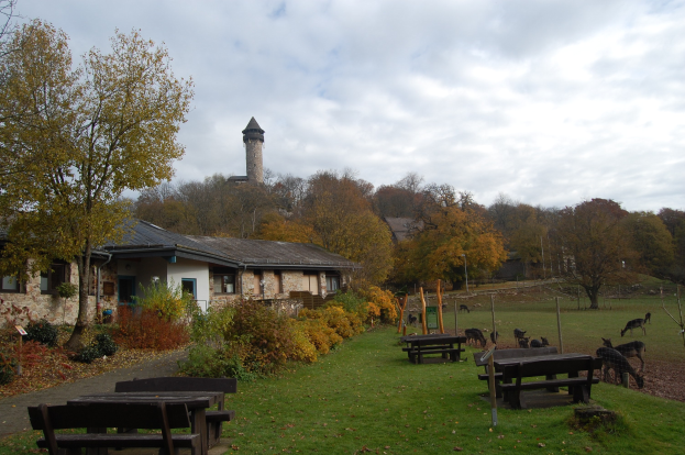 Ein Park mit Bänken, Tischen, saftigem Grün, Pflanzen und Bäumen, mit einem Gebäude mit Fenstern und einem Turm im Hintergrund unter einem Himmel mit weißen Wolken, wo Tiere friedlich grasen.